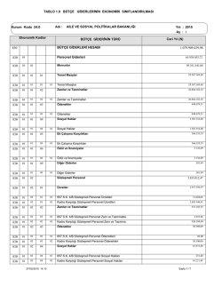 TABLO 1.9 B&Uuml;T&Ccedil;E GİDERLERİNİN EKONOMİK