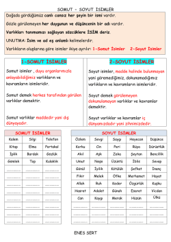 1-SOMUT İSİMLER 2-SOYUT İSİMLER