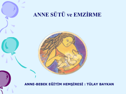 Anne S&uuml;t&uuml; ve Emzirme