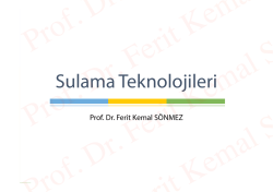 File - Prof. Dr. Ferit Kemal Sönmez