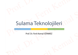 File - Prof. Dr. Ferit Kemal S&ouml;nmez