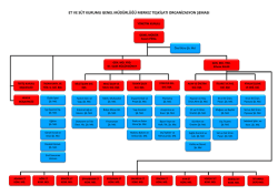 Organizasyon Şeması