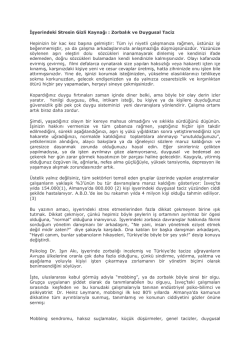 Ğ yerindeki Stresin Gizli Kayna₣&Ucirc; : Zorbal&Ucirc;k ve Duygusal Taciz