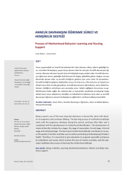 S&uuml;sgelin - &Ccedil;umra 26 Haziran Gazetesi