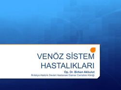 MERMER KESİM VE FRİT ATIKLARININ PORSELEN KARO