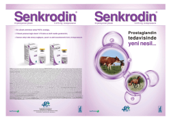 Kurumsal Tahsilat Firma Kullanıcı Kılavuzu i&ccedil;in tıklayınız