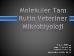 Satran&ccedil; İl Birinciliği Y&ouml;nergesi....pdf