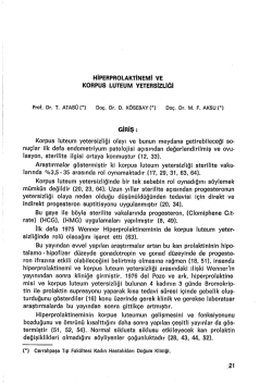 işg&uuml;c&uuml; piyasası analizi hk.