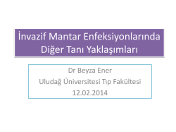 Ilber Ortayli - WordPress.com