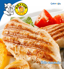 &Uuml;r&uuml;n Kataloğu - K&ouml;yt&uuml;r Pili&ccedil;