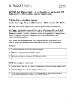 EUCAST Disk Difuzyon Testi ve Sıvı Mikrodil&uuml;syon Y&ouml;ntemi ile MİK