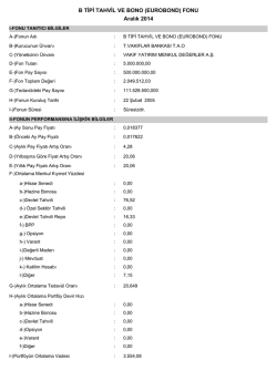 Kasım 2014 B TİPİ TAHVİL VE BONO (EUROBOND) FONU