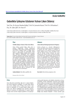 Gebelikte İyileşme G&ouml;steren Vulvar Liken Skleroz Yard