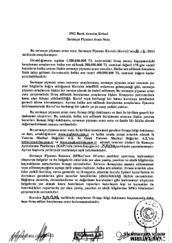 Sermaye Piyasası Aracı Notu