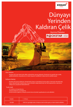 Rockstar 450 Aşınma Levhaları