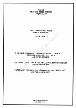 (YAYIN 2014-3) A) 3 AWG