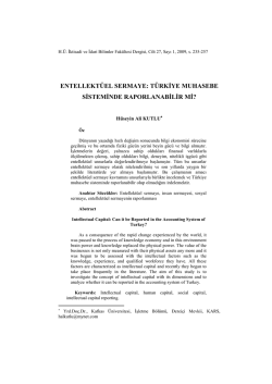 entellekt&uuml;el sermaye - Entelekt&uuml;el Sermaye Geliştirme Platformu