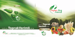 -B Pellets - Megy G&uuml;bre