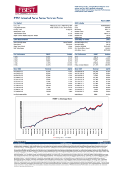 FTSE Istanbul Bono - Kasım 2014