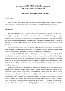 deney f&ouml;y&uuml;