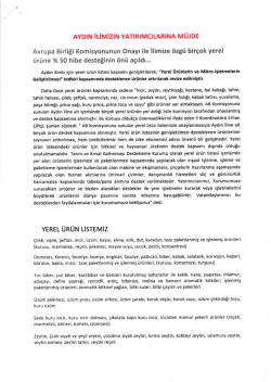 AYDIN ILIMiZ:N YATIRIMCILARINA MU』 DE YEREL URUN L!SttEM:Z