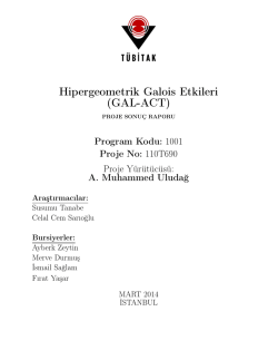 Proje Sonu&ccedil; Raporu - Galatasaray &Uuml;niversitesi Matematik B&ouml;l&uuml;m&uuml;