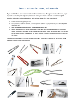 Fındık-Ceviz Kıracağı Tasarımı