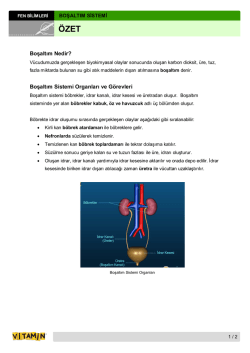 Boşaltım Nedir? Boşaltım Sistemi Organları ve G&ouml;revleri