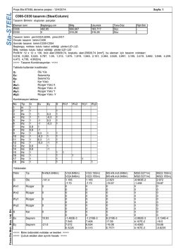 C006-C030 tasarımı (SteelColumn)