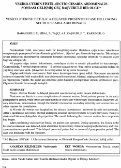Tam Metin (PDF)