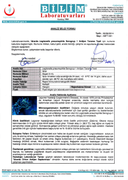 ABFT-001 İdrarda Legionella pneumophila Serogrup 1 Antijen