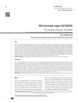 Mini karmaşık organ: Kıl folik&uuml;l&uuml;