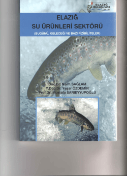 Automatically generated PDF from existing images.