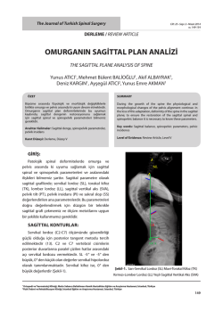 omurganın sagittal plan analizi