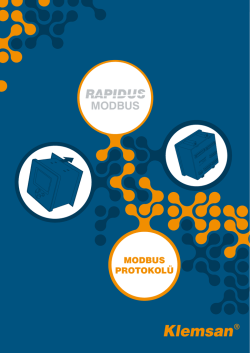 RAPIDUS Modbus Protokol&uuml;
