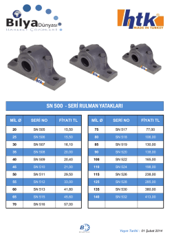 SN Tipi Rulman Yatakları Fiyat Listesi