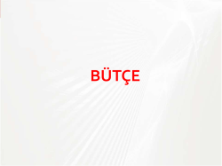 Projede b&uuml;t&ccedil;e ve iş planı