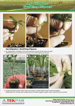 Asi Klipsleri - Grafting Clipses 2014-2015