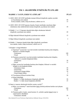 akademik etkinlik puanları