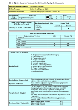Doğa Esinli Hesaplama