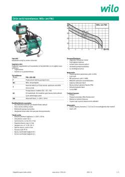 Ürün serisi tanımlaması: Wilo