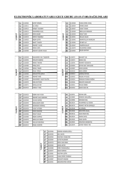 elektronik lab-ı, ıı &ouml;ğretim grup dağılımları