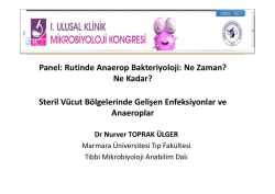 Ge&ccedil;ici bakteremi