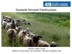 Diyabetik N&ouml;ropati Patofizyolojisi