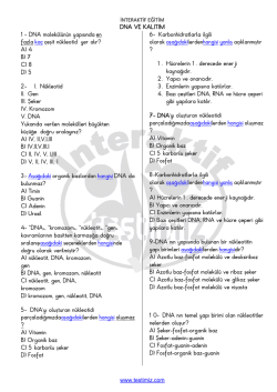 DNA molekülünün yapısında en fazla kaç çeşit