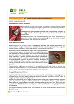 Fen Okur Yazarlığı &Ouml;rnek Soruları