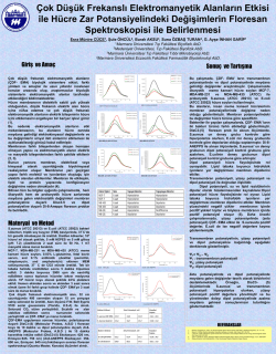 &Ccedil;ok D&uuml;ş&uuml;k Frekanslı Elektromanyetik Alanların Etkisi ile H&uuml;cre Zar