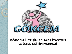 davranış yönetimi aile eğitim programı (pdf)