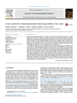 A new system for computing dentition-based age