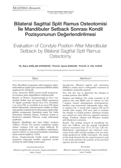 Makale - Hacettepe &Uuml;niversitesi